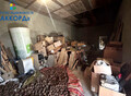 Фотография: Дом, Телецкое