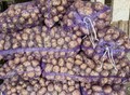 Фотография: Продажа оптовых партий овощных культур из Алтайско