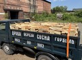 Фотография: Дрова сосновые