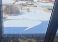 Фотография: Дом, Первомайское березовая