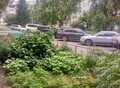 Фотография: Белокуриха, Срочно!!! Цена квартиры ниже