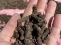 Фотография: Органическое гранулированое удобрение 
