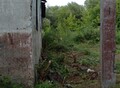 Фотография: Участок, Центр, Зелёная, 43в