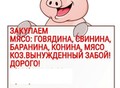 Фотография: Закупаю Говядину свинину конину баранину 