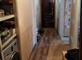 Фотография: 3 комн. Владимира Мартьянова