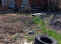 Фотография: Сад/дача, Нагорный, Каховская