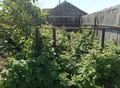 Фотография: Дом, Полюсный