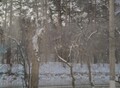 Фотография: 1 комн. Радищева