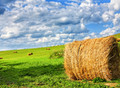 Фотография: Продам сено. Урожай 2021.