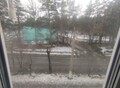 Фотография: 1 комн. Радищева