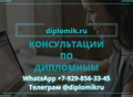 Фотография: Дипломная работа