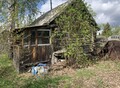 Фотография: Сад/дача, Якодная, 410