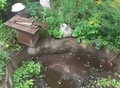 Фотография: Участок, Нагорный, Тенистая, 456
