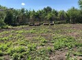 Фотография: Участок, Нагорный, яровой
