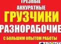 Фотография: ГРУЗЧИКИ, ГАЗЕЛИ, БУДКИ 3,5,7,10 тонн 89130818594