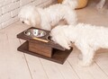 Фотография: Кормушка, подставка с мисками для кошек и собак ма