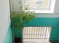 Фотография: 2 комн. Советская