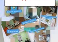 Фотография: Продленка для школьников 1-4 класс