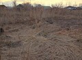 Фотография: Участок, БИЙСКАЯ 8
