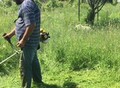 Фотография: ПОКОС ТРАВЫ ТРИММЕРОМ 89130818594