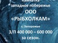 Фотография: Рыбообработчик. ООО "Рыбхолкам"