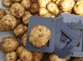 Фотография: Овощи для магазинов оптом в Алтайском крае