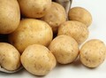Фотография: Продам картофель.