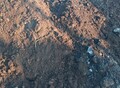 Фотография: Перегной, чернозёмы, земля. 