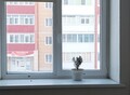Фотография: 1 комн. Ломоносова