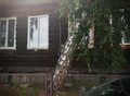 Фотография: Дом, Мухачева
