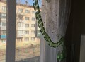Фотография: 2 комн. Пушкина