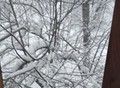 Фотография: 1 комн. пл.9 января