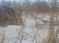 Фотография: Участок, чапаева