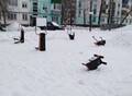 Фотография: 1 комн. Радищева
