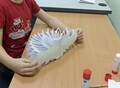 Фотография: Продленка для школьников 1-4 класс