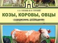 Фотография: Куплю КРС, баранов, конину