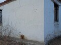 Фотография: Участок, БИЙСКАЯ 8