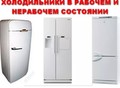 Фотография: Холодильник, морозильная камера 