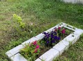 Фотография: Дом, Красильникова