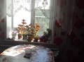 Фотография: Дом, Сельская