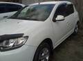 Фотография: Renault Sandero