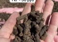 Фотография: Органическое гранулированое удобрение 