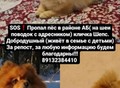 Фотография: Помогите найти 