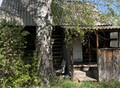 Фотография: Сад/дача, Якодная, 410