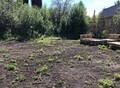 Фотография: Участок, Нагорный, яровой