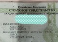 Фотография: Находка