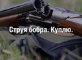 Фотография: КУПЛЮ СТРУЮ БОБРА