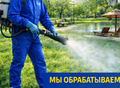 Фотография: Уничтожение клопов, тараканов, грызунов
