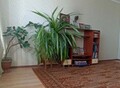 Фотография: 3 комн. Льнокомбинат
