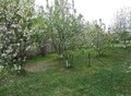 Фотография: Дом, ЖСК Солнечная поляна ул.Садовая